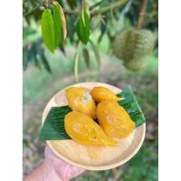 ราคา ทุเรียนเชื่อมจันทบุรี2026 (5487160575)