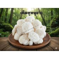 ราคา เห็ดหูหนูขาว เห็ดหูหนูแห้ง เห็ดขาว (54755965940)