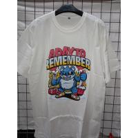 ราคา A DAY TO REMEMBER SUPERSOFT DISTRO เสื้อยืด CODE R 71-06 (28894482928)