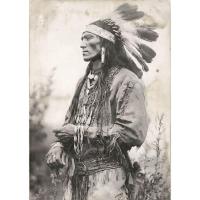 ราคา โปสเตอร์ ภาพรูปถ่าย อเมริกัน อินเดียแดง Native American Indian POSTER 11.5"x16.5" นิ้ว A3 Photo America Western (44554810635)