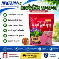 ราคา โซตัส ออสโมโค้ท 13-13-13 ขนาด 1 กิโลกรัม ปุ๋ยละลายช้า ใช้ครั้งเดียวอยู้ได้นาน 3 เดือน รองก้นหลุม (28656038497)