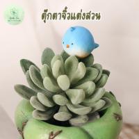 ราคา ตุ๊กตาแต่งสวน ตุ๊กตาจิ๋ว ตุ๊กตาเรซิน นก ร่ม แต่งสวนถาด สวนถาด แต่งกระถาง อุปกรณ์แต่งสวน อุปกรณ์จัดสวน ปักสวน สวนขวด (9919131525)