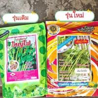 ราคา เมล็ดพันธุ์ผักบุ้งแก้ว ผักบุ้งเย็นตาโฟ 1กก. (สุ่มสีนะคะ)*ล้อตใหม่ทั้งสอง* ผักบุ้งนา ผักบุ้งเย็นตาโฟ (13001324795)