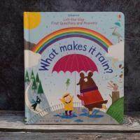 ราคา Usborne Lift the flap First Questions and Answers : What makes it rain? ( Boardbook มือสอง ) (14949117711)