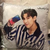 ราคา หมอน vivo หมอนแบมแบม (1249480963)
