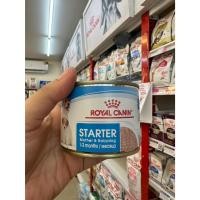 ราคา Royal Canin Starter Mousse Puppy 195g. (29308067587)