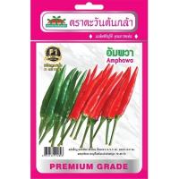 ราคา เมล็ดพริกอัมพวา ตราตะวันต้นกล้า (27803871684)