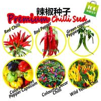 ราคา เมล็ดพริก เมล็ดพริก/เมล็ดพริกไทย/พริกหวาน/เมล็ดพริกเขียวสำหรับตกแต่ง (25247826494)