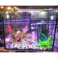 ราคา ตู้เลี้ยงปลาขนาด 6×12×8 ครบชุดพร้อมอุปกรณ์เลี้ยง ราคาน่าครบ สำหรับคนงบน้อย 350 (3308201626)