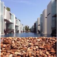 ราคา Gift Voucher Z-Luxe Club (Let's Sea Hua Hin Al Fresco Resort ~เลทซี หัวหิน~) (187478472)