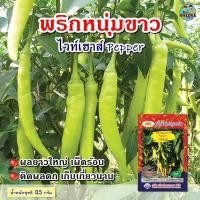 ราคา เมล็ดพริกหนุ่มขาว ไวท์เฮาส์ ตราภูเขาทอง Pepper เมล็ดพริก เมล็ดพันธุ์พริกหนุ่มขาว เมล็ดพันธุ์พริก เมล็ดพันธุ์ผัก (6758890305)