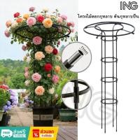 ราคา 210cm ซุ้ม ไม้เลื้อย โครงเหล็กปลูกต้นไม้ ซุ้ม กุหลาบ สําเร็จรูป ซุ้มต้นไม้ โครงต้นไม้ เสากุหลาบ ไม้กันกุหลาบ ค้างไม้เลื้ (47460228235)
