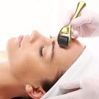 ราคา Dermaroller สําหรับลูกกลิ้งใบหน้าสําหรับการดูแลผิวหน้าไทเทเนียม 540pin (29867000194)