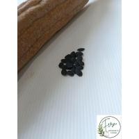 ราคา เมล็ดพันธุ์บวบบ้านบวบโบราณบวบยาวบรรจุ 25 เมล็ด (53809774107)