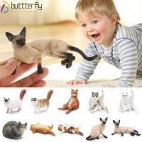 ราคา BUTTTERFLY สมจริงสัตว์เลี้ยง Figurines, PVC สยาม Ragdoll แมวเปอร์เซียจําลองแมวรุ่น, ประณีตเหมือนจริงแมวตัวเลขการกระทําของเล่นเด็กตุ๊กตา (48158497730)