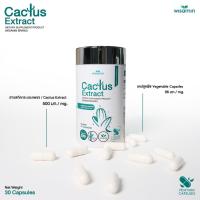 ราคา สารสกัดกระบองเพชร (CACTUS EXTRACT) บรรจุแคปซูล 500 mg. สารสกัดจากกระบองเพชร VAGAN (ตราวิษามิน) จำนวน 1 กระปุก 30 แคปซูล (23629772715)