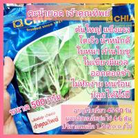 ราคา คะน้าเจ้าคุณทิพย์ 500 กรัม คะน้ายอด เจ้าคุณทิพย์ เจียไต๋ (27609729068)