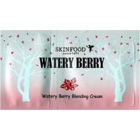 ราคา Skinfood Watery Berry Blending Cream