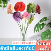 ราคา (ซื้อ 5 แถม 5) ต้นไม้ตั้งโต๊ะ ต้นหน้าวัวเทียม ดอกไม้ประดิษฐ์ตกแต่งโต๊ะทำงาน ต้นไม้ประดิษฐ์ดอกหน้าวัวขนาดใหญ่ 60 ซม. (48752278958)