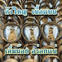 ราคา ปลาทูนึ่งสะอาดขนาด120กรัม (29436999367)