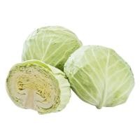 ราคา 300 เมล็ด กะหล่ำปลี กะหล่ำใบ กะหล่ำปลีเขียว Cabbage Seeds สายพันธุ์ โคเปนเฮเกน มาร์เก็ต (42073780715)