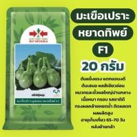 ราคา เมล็ดมะเขือเปราะ F1 หยาดทิพย์ 20 กรัม ศรแดง (17343651012)