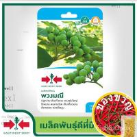ราคา East-West Seed เมล็ดพันธุ์มะเขือพวง (Pea eggplant seeds) พวงมณี เมล็ดพันธุ์ผัก เมล็ดพันธุ์ ผักสวนครัว ตราศรแดงed EPSE (21024034471)