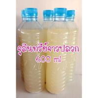 ราคา จุลินทรีย์น้ำจาวปลวก (หัวเชื้อ) 600 ml (ใช้ขยายเชื้อได้) (5396239066)