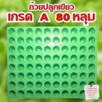 ราคา ถ้วยปลูกเขียว ถ้วยปลูกผักไฮโดรโปนิกส์เขียว Hydroponic 1 แผง 80 หลุม (24104848571)