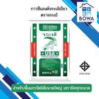 ราคา กาวซีเมนต์จระเข้เขียว ตราจระเข้ Bowaonshop (25368194659)