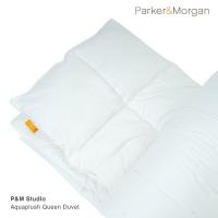 ราคา P&M STUDIO : ไส้ผ้านวม อะคว้าพลัช ขนาดคิง:Aquaplush King Size Microfiber Duvet (90"x103") (8525515519)