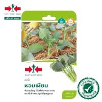 ราคา ศรแดง เมล็ดพันธุ์คะน้าหอมเทียน (East-West Seed) เมล็ดพันธุ์ ผักสวนครัว ตราศรแดง (28613165826)