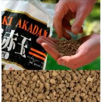 ราคา ดินญี่ปุ่น akadama size M (26338343807)