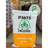 ราคา เมล็ดพันธุ์ข้าวโพด ไพโอเนีย P3875 (3หุน,3.5หุน) *ขนาด 10 กก. ออกดอกไว ฝักใหญ่สม่ำเสมอ น้ำหนักดี ไม่เลือกดิน (27286041193)