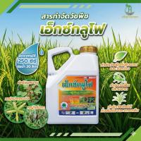 ราคา เอ็กซ์กลูโฟ (กลูโฟซิเนต-แอมโมเนียม) (49753512928)