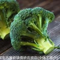 ราคา เมล็ดบร็อคโคลี่ กะหล่ําดอกโฟร์ซีซั่นส์ เมล็ดพันธุ์ผักมรกต เมล็ดกะหล่ําดอกสูง (48210121173)