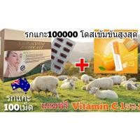 ราคา รกแกะ100000 เข้มข้นสูงสุด หมดอายุ 07/2027 bio sheep placental รกแกะ sheep placenta wealthy รกแกะเม็ด รกแกะออสเตรเลีย (5717723874)