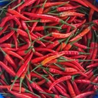 ราคา hot pepper chili seeds, ประมาณ 100 เมล็ดเชีย เมล็ดเชีย เมล็ดพืช, ผัก, เมล็ดพืช, ผัก, ผักสวนครัว (57101443399)