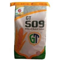 ราคา เมล็ดพันธุ์ข้าวโพด GT 509 (จีที 509) 10 กก. ฝักใหญ่ ยืนต้นดี สีได้เนื้อ ปล่อยแห้งคาต้นได้ยืนต้นนาน (25863170289)