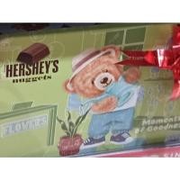 ราคา HERSHEYS *** ASSORTED NUGGETS *** Christmas Gift Box *** GREEN EDITION *** 149g (53802942844)