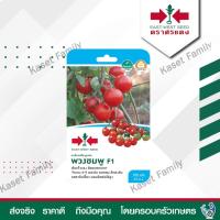 ราคา ผักซอง มะเขือเทศสีดา พวงชมพู 200 เมล็ด เมล็ดมะเขือเทศสีดา ตราศรแดง (20721037029)