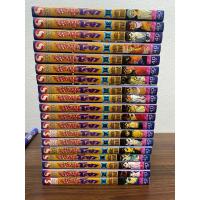 ราคา คนเก่งทะลุโลก 1-19จบ (24871851157)