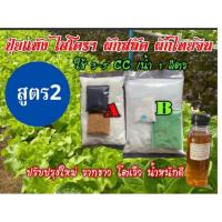 ราคา ปุ๋ยแห้ง AB ผักสลัด สูตร 2 ชุดคุ่ 10 ลิตร+อาหารเสริมชนิดเข้มข้น 160 ซีซี 2 ขวด (6513701838)
