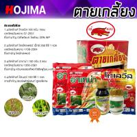 ราคา ชุดจัดการวัชพืชสูตรเข้มข้น ตายเกลี้ยง แบรนด์เข้แดง เคลียร์พื้นที่นาข้าวสะอาด สยบหญ้ากระดูกไก่และผักงวงช้าง พร้อมไฮเนอร์ (53353499539)