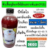 ราคา หัวเชื้อจุลินทรีย์สังเคราะห์แสง จุลินทรีย์สังเคราะห์แสง 1 ลิตร (PSB) สูตรเข้มข้น สะอาด เพิ่มธาตุอาหาร (3763411103)