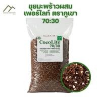 ราคา CocoLite 70/30 - ขุยมะพร้าวผสมเพอร์ไลท์ ขุยมะพร้าว 70% เพอร์ไลท์ 30% ขุยมะพร้าวล้าง EC ต่ำ ผสมเพอร์ไลท์ ตราภูเขา (28929874824)