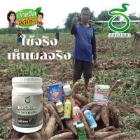 ราคา นารายณ์พลิกแผ่นดิน ปรับโครงสร้างดิน รากพืชเดิน ลดปัญหาเชื้อราสะสม ปรับค่าพีเอชในดิน นำเข้าจากอเมริกา (23440967212)