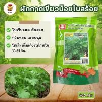 ราคา ผักกาดเขียวน้อยใบสร้อย สร้อยทิพย์ 500 กรัม ตราน้ำเต้า ใบเขียวสด สวย กลิ่นหอม กรอบนุ่ม (52500890175)