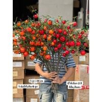 ราคา ดอกไม้ปลอม ตรุษจีน ทับทิม (51205002425)