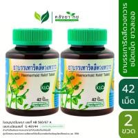 ราคา [แพ็คคู่] Khaolaor ขาวละออ เพชรสังฆาต ยาบรรเทาอาการริดสีดวงทวาร เพชรสังฆาตชนิดเม็ด 42 เม็ด/ขวด (19374772503)